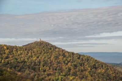3Hour Outdoor Budapest Normafa Hike&History With a Historian - Finding the meeting point at Széll Kálmán (and why it’s convenient)