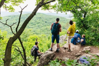 Budapest: Buda Hills Guided Hiking Tour with Optional Lunch - Getting to the trail fast: metro meeting points and bus timing