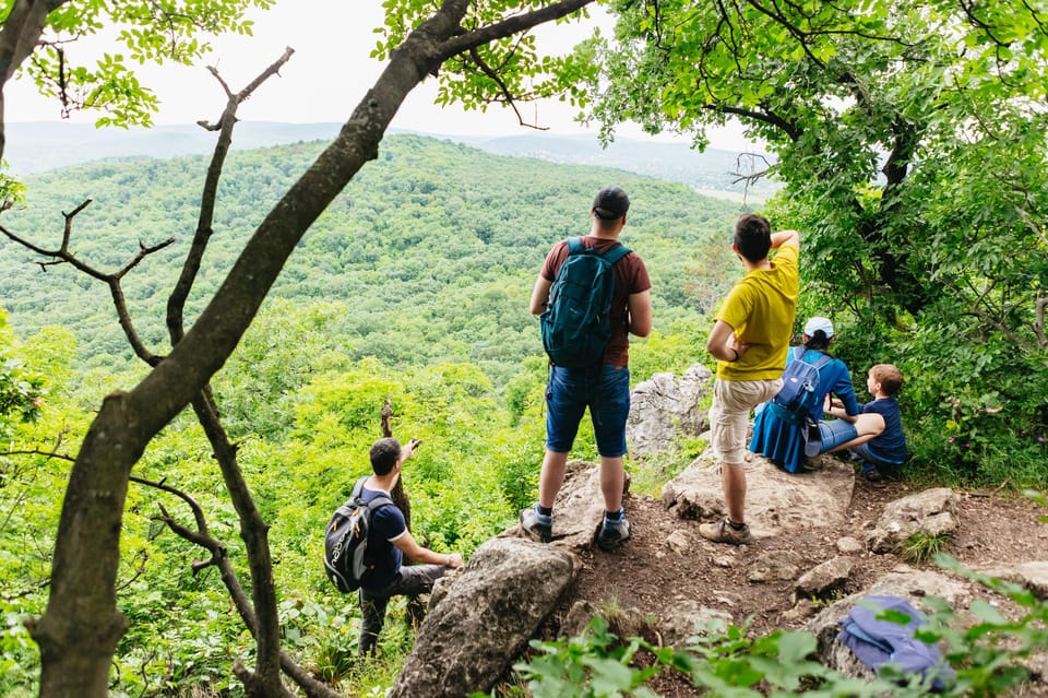 Budapest: Buda Hills Guided Hiking Tour with Optional Lunch - Getting to the trail fast: metro meeting points and bus timing