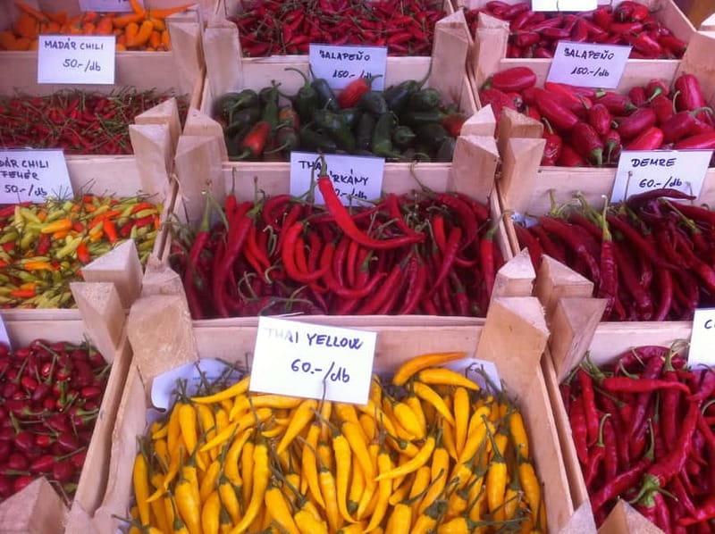 Budapest Culinary & Wine Walk—Budapest’s Signature Food Tour - Walking pace and small-group energy over 4 hours