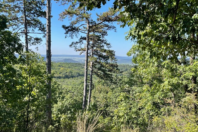 Budapest Hike - Hiking to the observation tower for a true 360° city view
