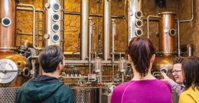 Budapest: Hungarian Whisky, Gin, and Pálinka Tasting - Palinka in plain language: why the lesson happens before the pours