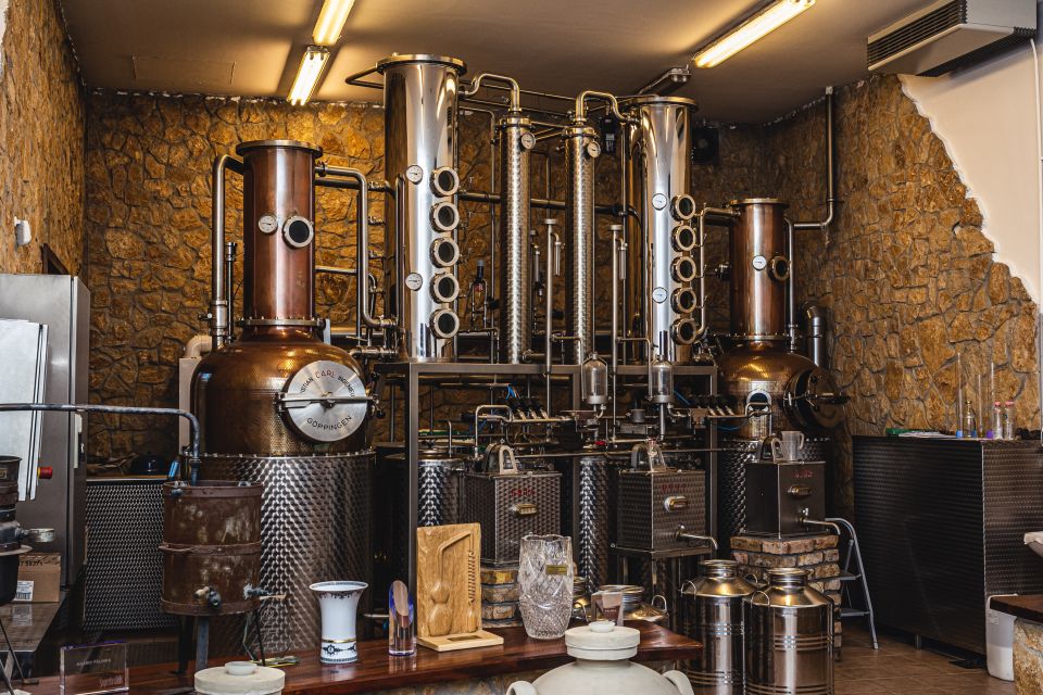 Budapest: Hungarian Whisky, Gin, and Pálinka Tasting - The guide experience in real terms: English instruction plus extra context