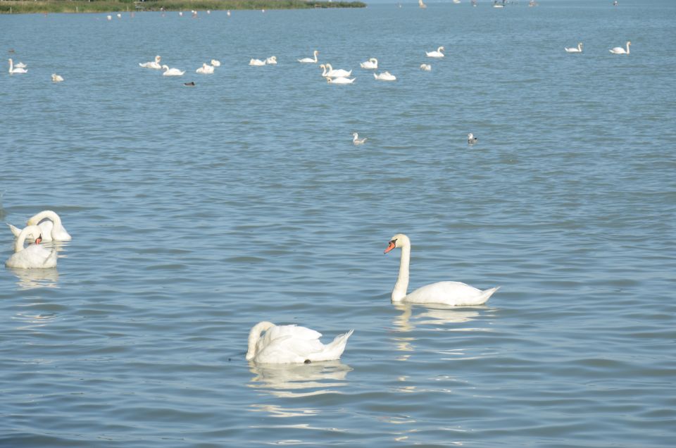 Budapest: Lake Balaton and Herend Full-Day Private Tour - Balatonfüred promenade: a classic spa-resort stroll