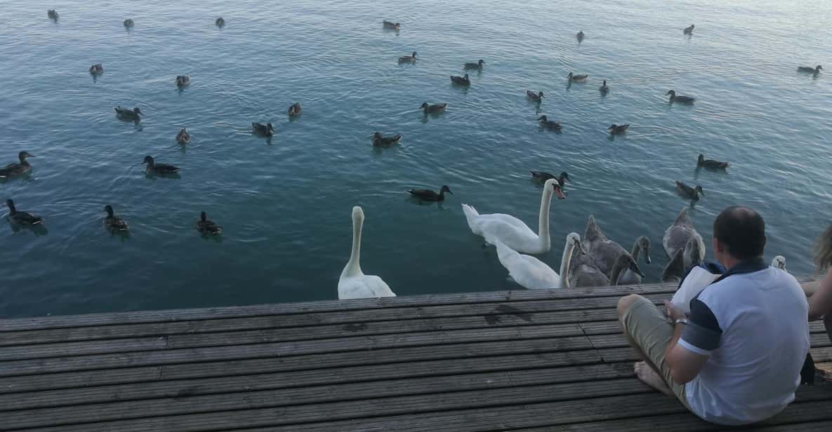 Budapest: Lake Balaton & Herend Porcelain Private Day Tour - Key things I’d circle on your must-do list