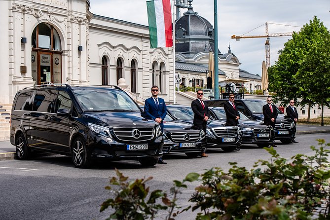 Budapest Private Airport Transfer in a Luxury Minivan - Who this luxury minivan transfer fits best