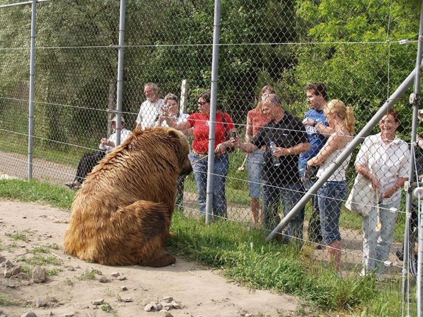 Budapest: Transport & Guided Tour of Bear and Wolf Sanctuary - The 50-minute van ride to Veresegyház: what you gain on the way