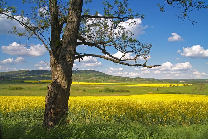 Budapest-Vienna One-Way Sightseeing Transfer - Small-Group Size (15 Max): The Difference You Actually Feel