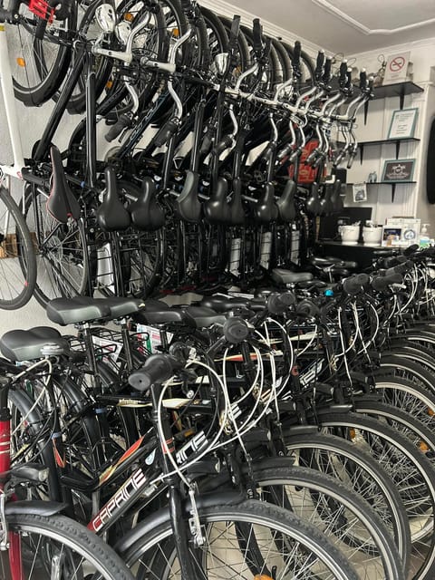 Choose a bicycle and make your own tour in Budapest-24 hrs - Checking Your Bike Like You Mean It (Tyres and Brakes)