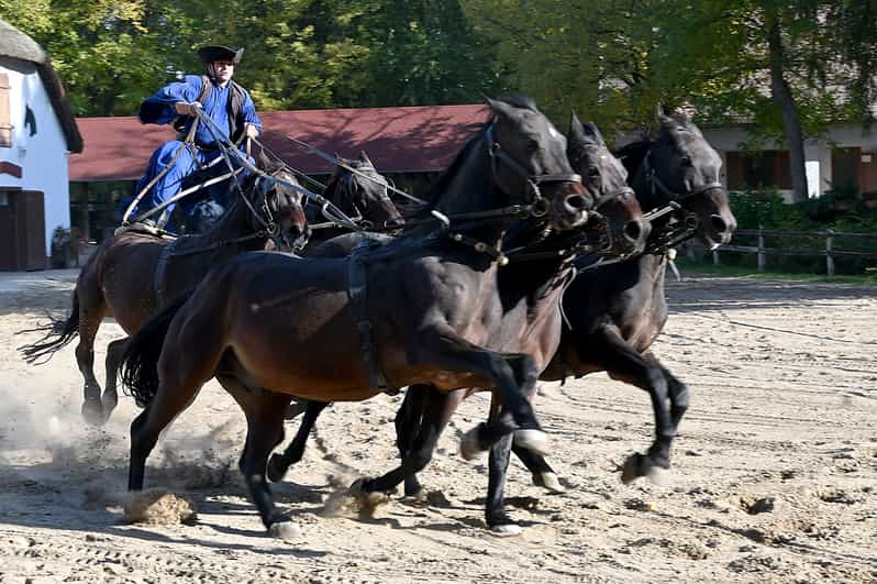 Countryside ranch, horse show & lunch - From Batthyány Square to the Southern Great Plain in One Smooth Half-Day