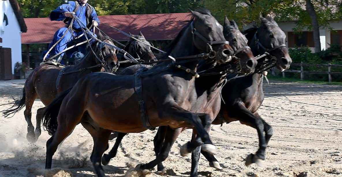 Countryside ranch, horse show & lunch - Horse Show Energy, Then Up Close With the Cowboys