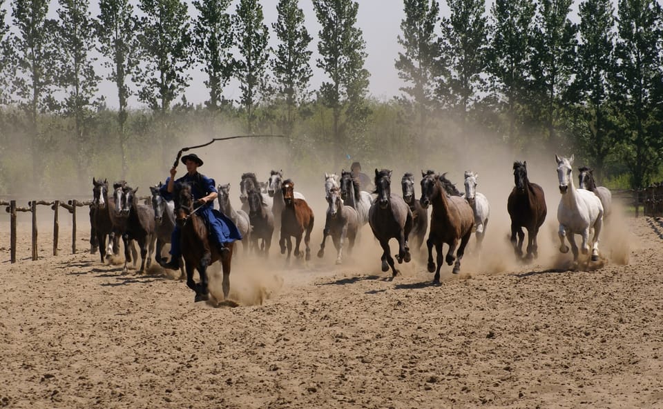 Countryside ranch, horse show & lunch - Goulash Lunch, Strudel, and Palinka: The Meal Part Is a Real Event
