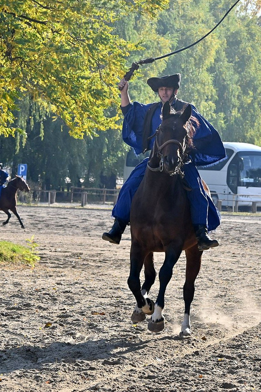 Countryside ranch, horse show & lunch - Price and Value: Is $127 Worth a 5-Hour Ranch Day?