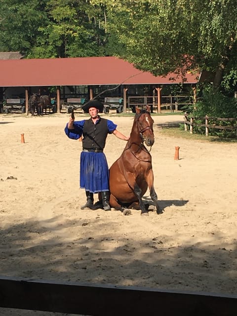 Countryside ranch, horse show & lunch - Who This Tour Suits Best (and Who Might Prefer Something Else)
