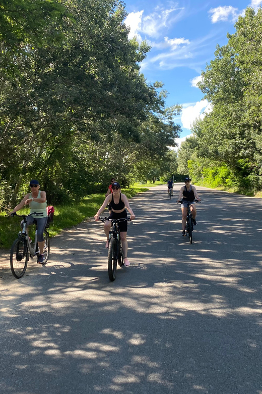 E-Bike Tour to Szentedre - Római Part and Római Strandfürdő: Danube views with real ride-time