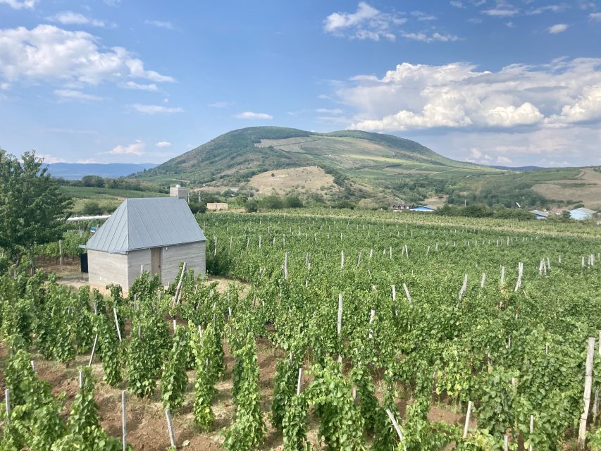 Eger: Countryside, Culture, and Wine Private Tour - When This Tour Might Not Be Your Best Fit