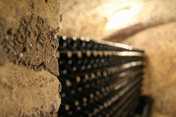 Eger Private Full-Day Wine Tasting Tour and Sightseeing from Budapest - Should you book the Eger Private Full-Day Wine Tasting Tour?