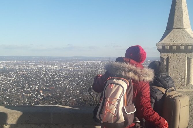 Elisabeth tower visit by chairlift and private transport - Live guiding at the top: Viktor makes the view make sense