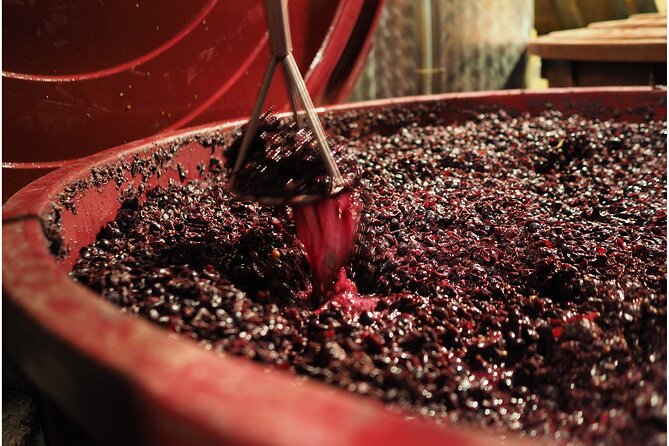 Etyek Private Half-Day Wine Tasting Tour from Budapest - Private Guide and Door-to-Door Comfort: The Real Value
