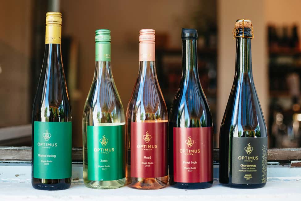 From Budapest: Etyek Wine Tasting Tour with 3-Course Meal - The 3-course Hungarian meal: where the afternoon turns into an experience