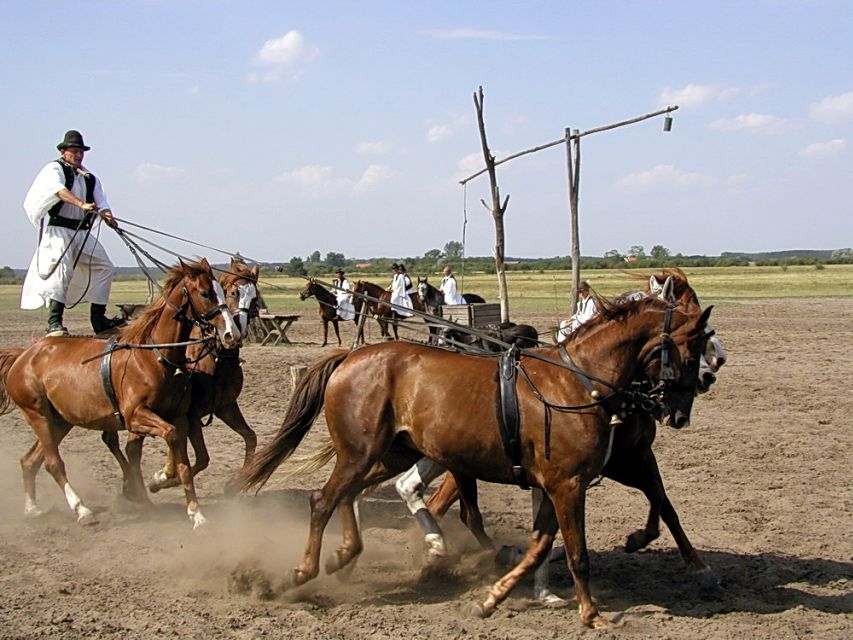 From Budapest: Full-Day Puszta Tour with Lunch and Show - Lunch With Wine: A Proper 3-Course Hungarian Meal