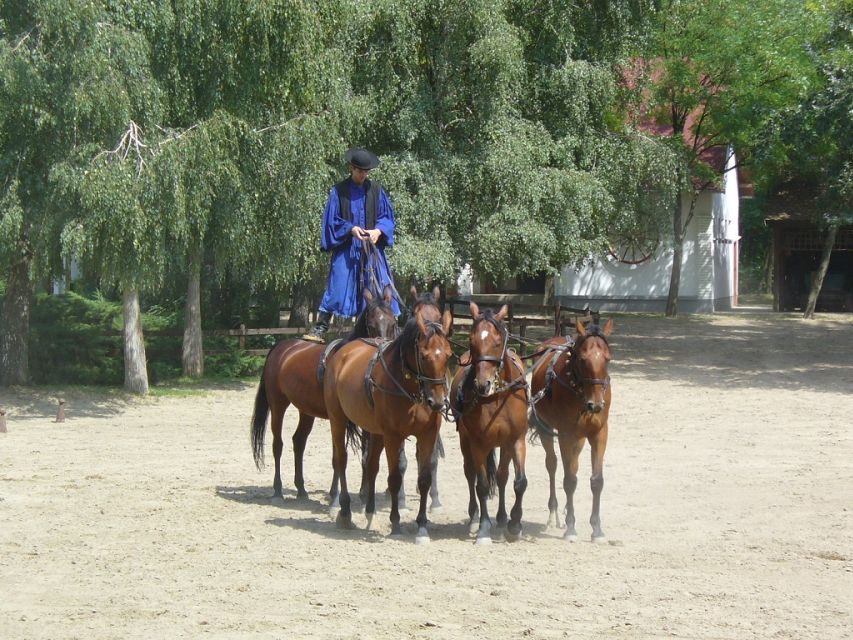 From Budapest: Full-Day Puszta Tour with Lunch and Show - Timing, Comfort, and Who This Trip Fits Best
