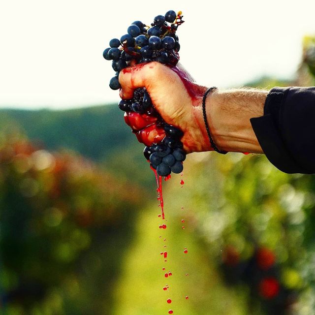From Budapest: Guided Tour of Eger with Wine Tasting - Price and value: is $391 worth it for a day trip?