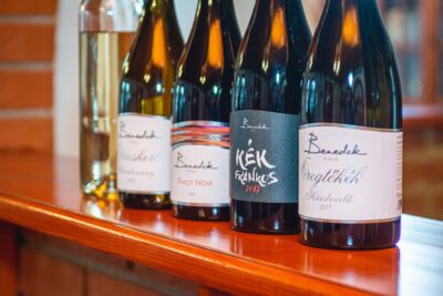 From Budapest: Mátra Hills Wine Tour - Small Group Size and the Guide You’ll Actually Talk To