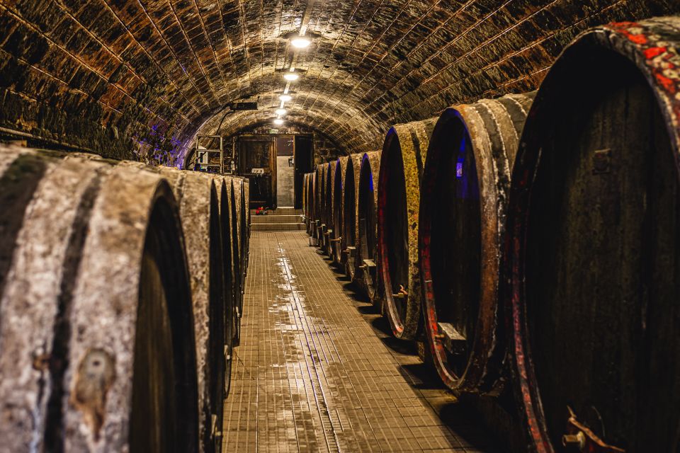 From Budapest: Mátra Hills Wine Tour - How Many Wines You Really Taste (and What Up to 8 Means)