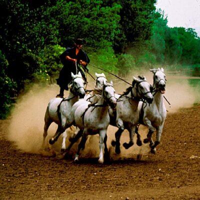 From Budapest: Puszta Horse Show and Countryside Visit - Getting There: The Coach Ride That Sets the Pace