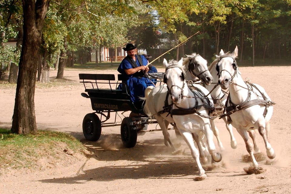 From Budapest: Puszta Horse Show and Countryside Visit - The 3-Course Hungarian Lunch With Wine: Real Food, Not Just a Placeholder