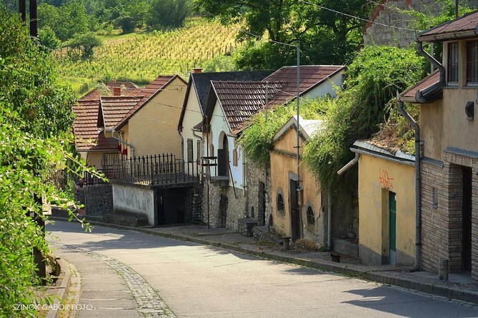 Home to Bull's Blood red wine! Eger with winetaste private tour - Minorita Templom and Eger’s church art: quick looks that feel satisfying