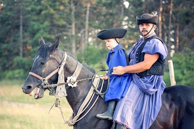 Horseshow on the Hungarian Puszta, private tour from Budapest with entry! - Key Highlights You’ll Care About