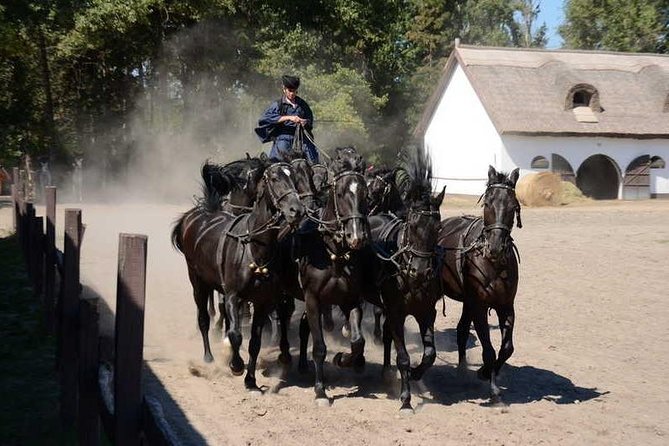Horseshow on the Hungarian Puszta, private tour from Budapest with entry! - Kiskunsagi Nemzeti Park: carriage ride and stables time that adds meaning