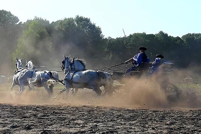 Horseshow on the Hungarian Puszta, private tour from Budapest with entry! - Lunch and wine included: why this stop feels more complete