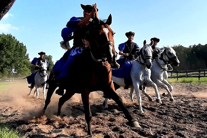 Horseshow on the Hungarian Puszta, private tour from Budapest with entry! - Duration and timing: making a one-day plan that doesn’t drag