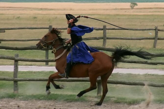 Horseshow on the Hungarian Puszta, private tour from Budapest with entry! - Who should book this private Puszta show—and who should think twice