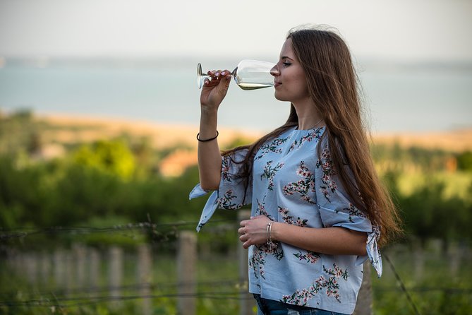 Lake Balaton Full Day Private Wine Tour - Winery time on the North Shore: how tastings of 11–12 wines play out