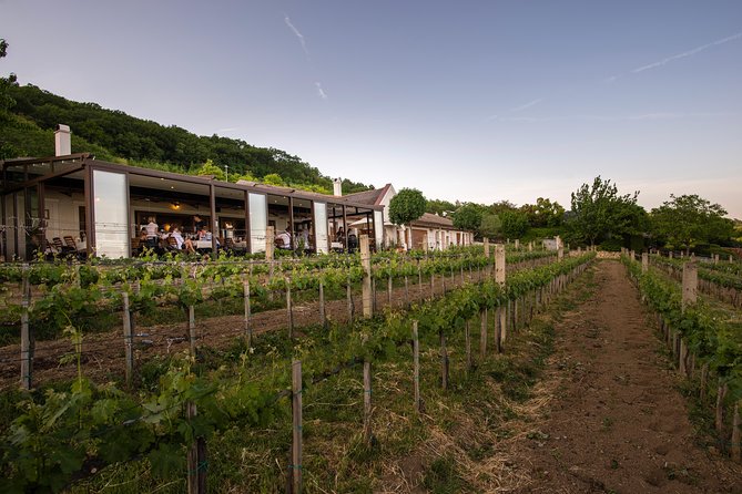 Lake Balaton Full Day Private Wine Tour - Lunch, lake moments, and what to pack