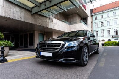 Mercedes S Class/BMW7 Private Budapest Half Day Tour - Gellért Hill Viewpoint: Your Fast Start with Photo-Perfect Orientation