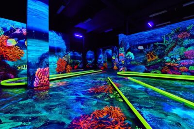 Neonis - 3D Blacklight Minigolf - UV lights and Chromdepth glasses: the whole trick in one setup