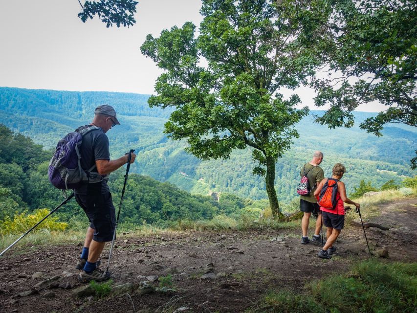 One Day Wonder Hike - The Essence of the Danube Bend - Dömös start: the steep opening climb you should plan for
