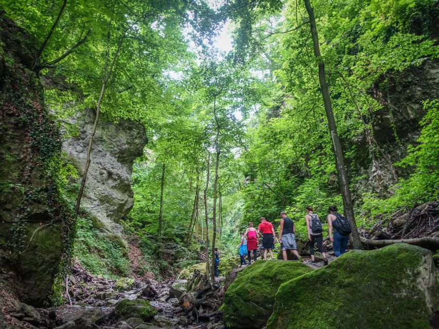 One Day Wonder Hike - The Essence of the Danube Bend - The ridge to Vadallo stones: where the panoramas start telling the story