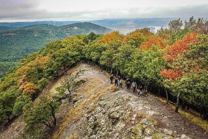 One Day Wonder Hiking Trip - Guides and Group Size: How the Day Gets Tailored to You