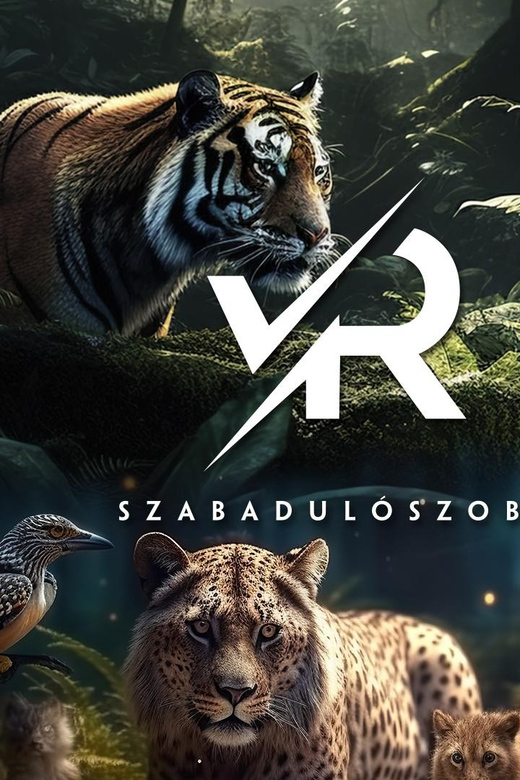 PÁNiQ-SZOBA | VR Escape Rooms by PANiQ ROOM in Budapest - Price and Value: Is $30 for 60 Minutes Worth It?