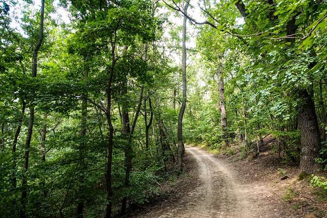 Panoramic hike around Budapest - Who should book this hike (and who might skip it)
