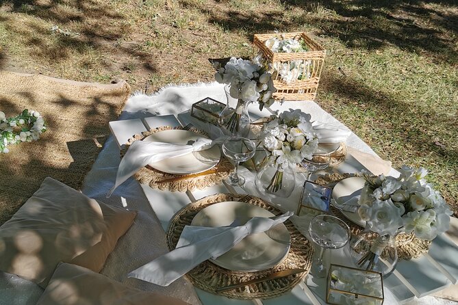 Picnics experience in Hungary - The 3-Hour Flow: From Setup to Keepsakes