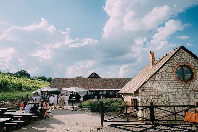 Private Etyek Wine tour with dinner including a Budapest Danube Evening Cruise - One hour on the Danube with an included drink