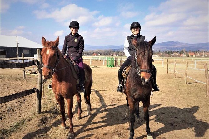 Private Horse Riding near Budapest with transport - Key highlights you’ll feel in real life
