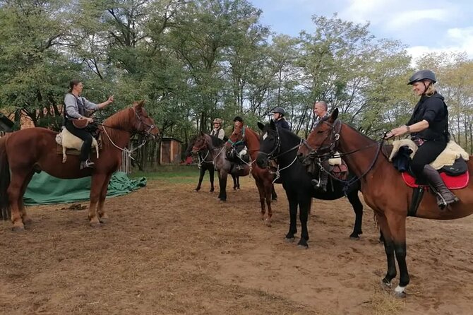 Private Horse Riding near Budapest with transport - Transport and comfort: the value of having Peter drive